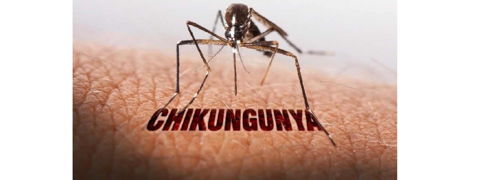 සෞඛ්‍ය අංශවලින් නිවේදනයක්..